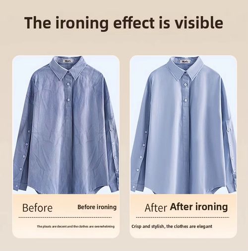 electric steam iron