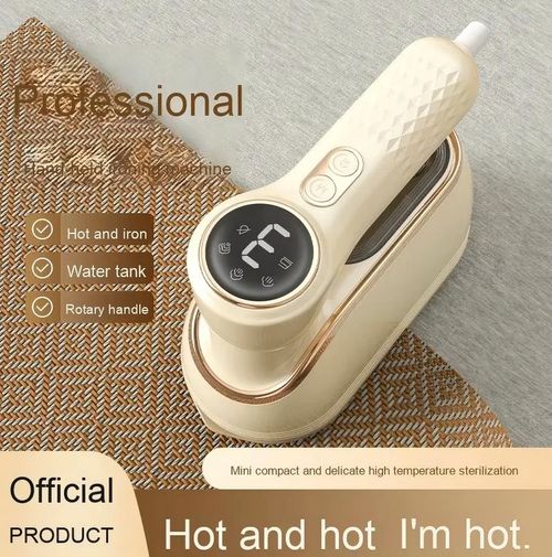 electric steam iron