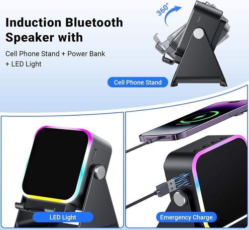 Induction Speaker