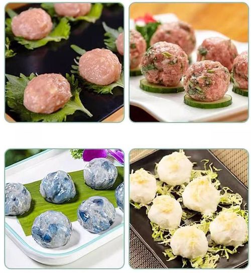 Stainless Steel Meatball Maker and Rice Ball Mold Meatball Maker With Container 5-Slot Manual Meatball Press