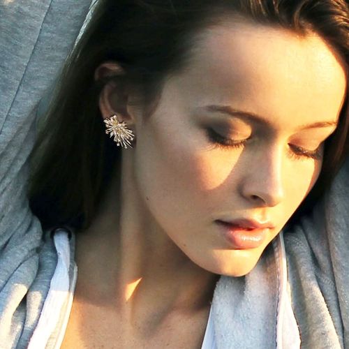 French retro golden firework zircon stud earrings for women, exquisite, light luxury, versatile and elegant earrings