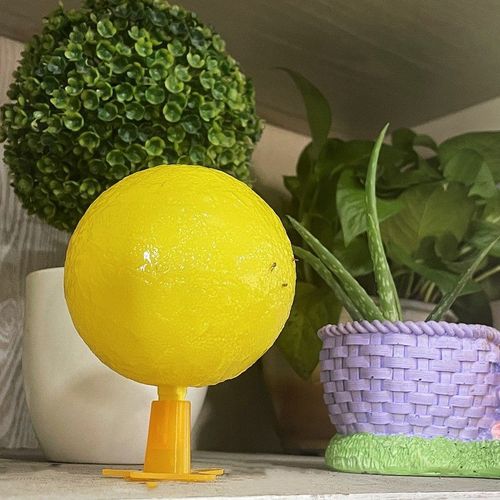 Indoor glowing insect traps, fly traps, sticky insect balls, traps, sticky mosquitoes, flies, fruit flies, small flying insects