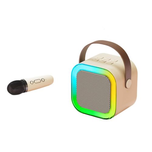 Microphone Wireless Bluetooth Speaker Singing Wireless Portable All-in-One Home KTV Set) (Two Microphones)