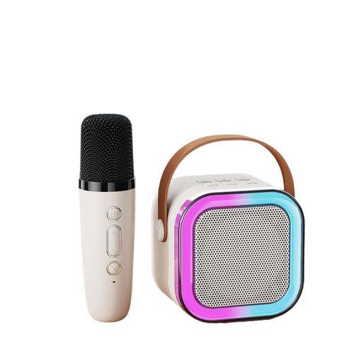 Microphone Wireless Bluetooth Speaker Singing Wireless Portable All-in-One Home KTV Set) (Two Microphones)