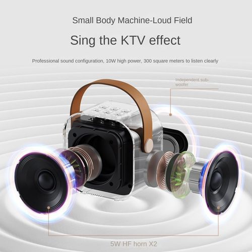 Microphone Wireless Bluetooth Speaker Singing Wireless Portable All-in-One Home KTV Set) (Two Microphones)