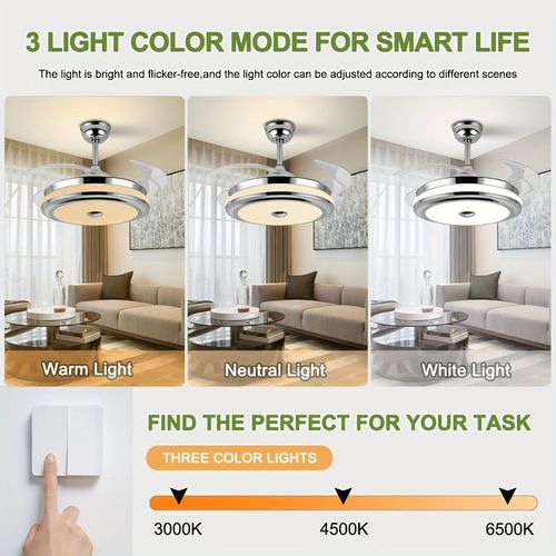 Ceiling Fan with Light