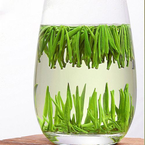 Hot Sale High Quality Ceremonial Loose Leaf Chinese Green Tea for Tea Shops