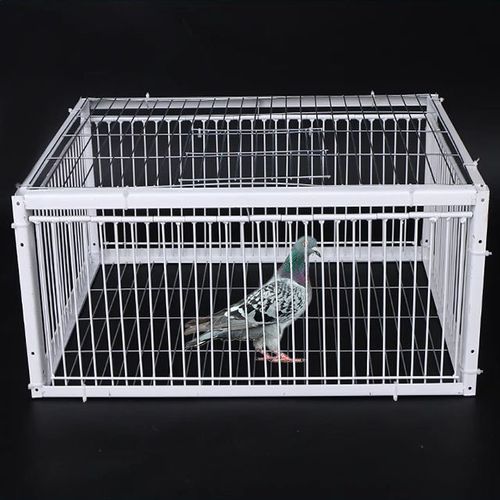 4 Door Auto Trap Bird Cage Rabbit Mouse Cage Entry Only and No Exit Encrypted Automatic Pigeon Collecting Tool with Skylight