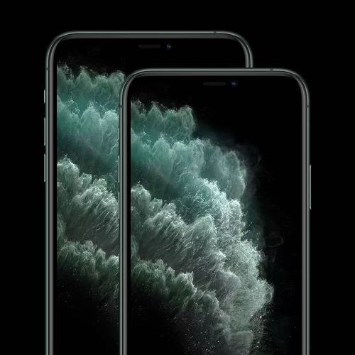 iPhone 11promax    256GB