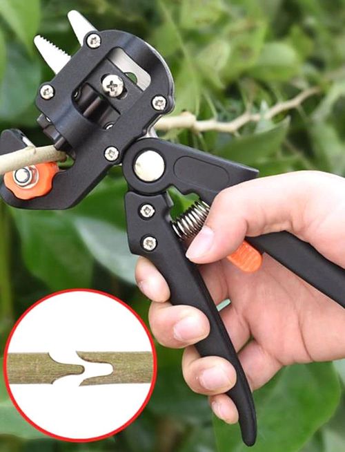 Complete horticultural grafting tools for professional pruning and grafting of fruit trees