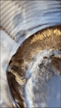 🔥 Lançamento 2025 | Quantidades Limitadas⏳ Bacia Profissional de Garimpo – Encontre Ouro com Mais Facilidade! 🪙⛏️