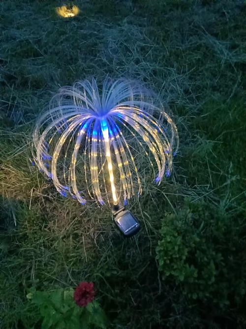 🌈🐙 Lâmpada Solar LED Medusa Colorida — Carrega de Dia, Ilumina à Noite