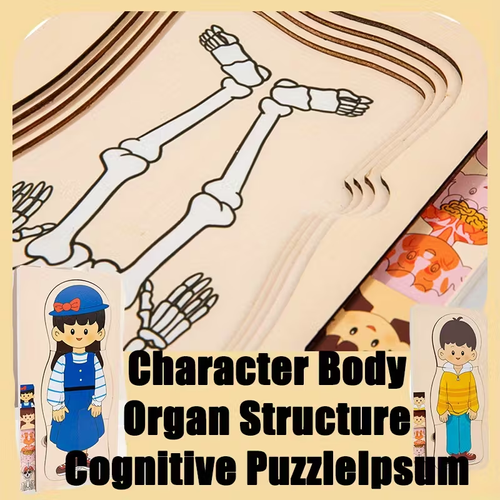 Science Enlightenment: Puzzle of Human Organ Structure, Anatomy, Skeleton, Cognitive Education, Body Organs, Puzzle Toy
