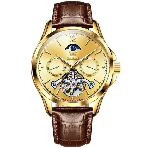 OLEVS 6663 High Quality Luxury Automatic Mechanical Watch