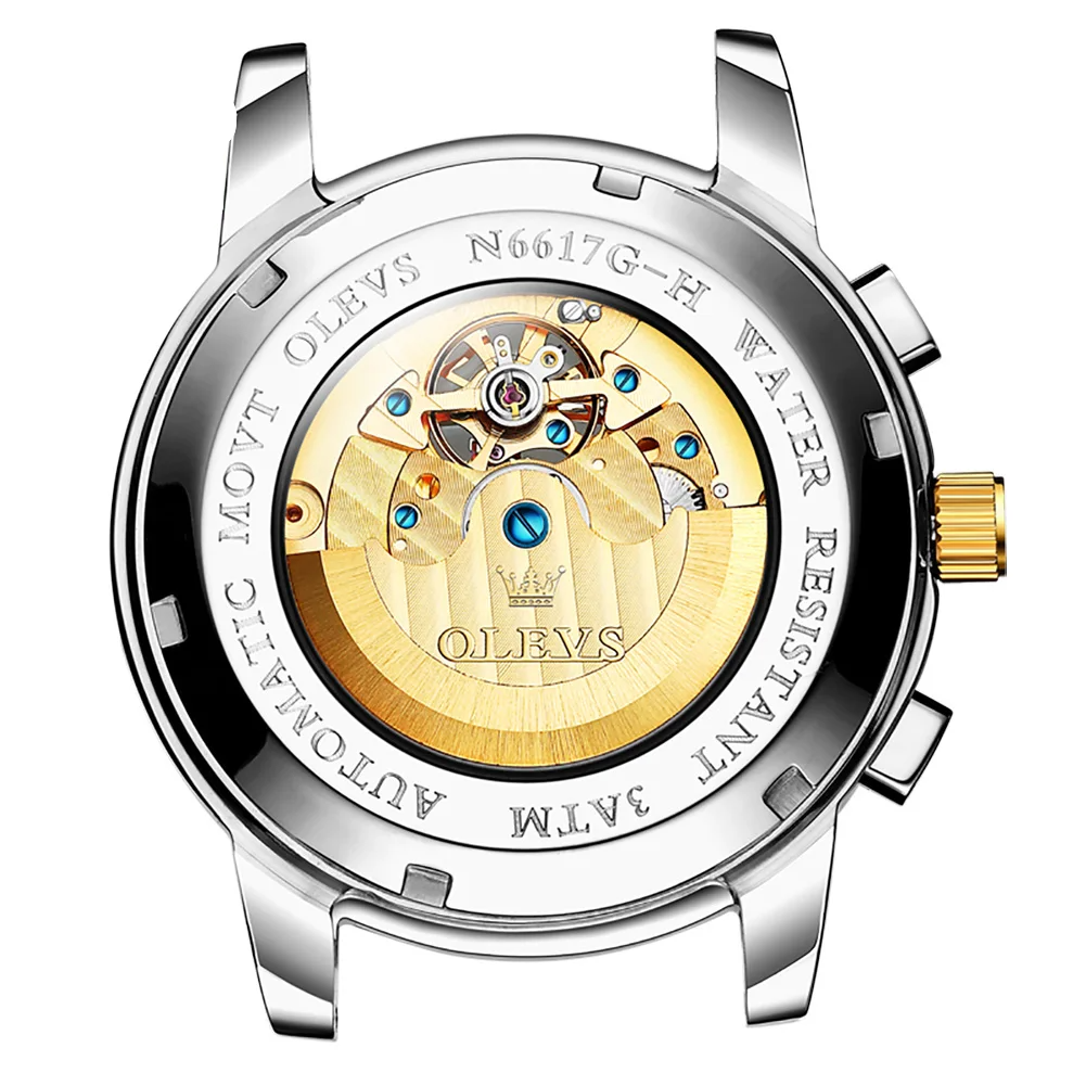 OLEVS Watch 6617 Luxury Mechanical