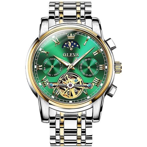 OLEVS Watch 6617 Luxury Mechanical