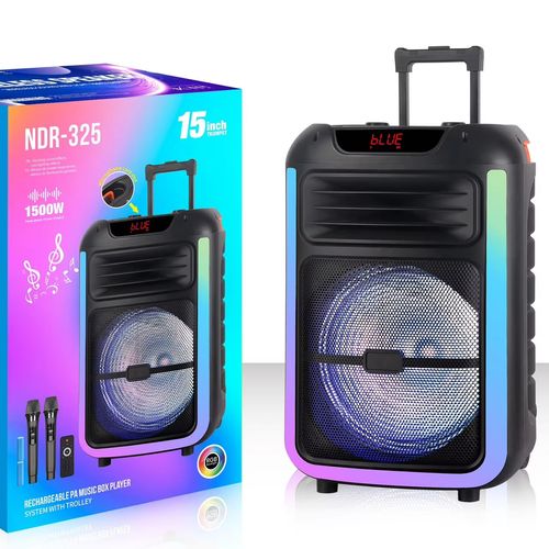New NDR-325 Rechargeable Wireless Phone 15 Inch Floor Rgb Party Karaoke Speakers for Sale