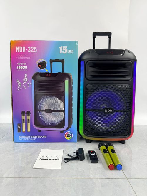 New NDR-325 Rechargeable Wireless Phone 15 Inch Floor Rgb Party Karaoke Speakers for Sale