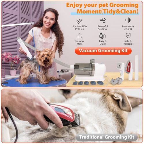 Wholesale Portable Custom Pet Dog Grooming Hair Dryer with Copper & Plastic Construction for Dogs & Cats Strong Blower