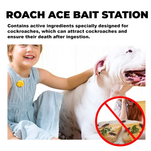 MOONSPRY Cockroach Bait Traps — 2 Boxes for 200 Cedis