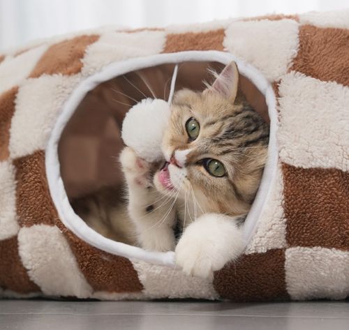 Circular Tunnel Cat Bed Cave S-shaped Design Fashion Modern Cartoon Style Removable Washable Soft Eco-Friendly Polyester