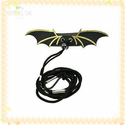 Lizard Leash Reptile Harness for Outdoor Pet Chameleon Squirrel