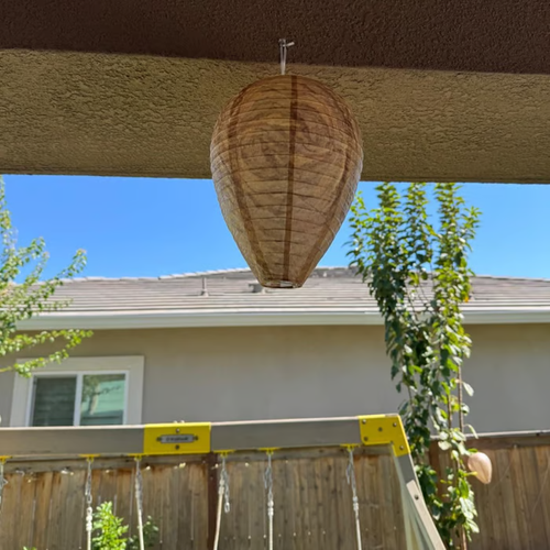 🔥Hot Sale 49% OFF🐝Natural Wasp Deterrent Hive