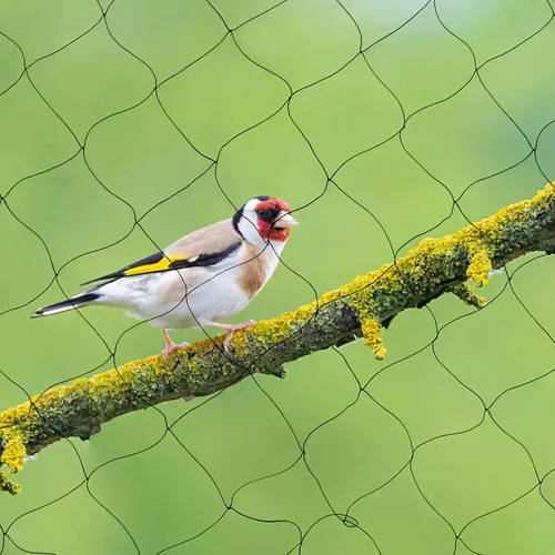 Durable Black PE Garden Bird Netting for Fruit Trees and Strawberry Protection - Outdoor Orchard Barrier with Mesh Design, Garden Pest Control | Streamlined Appearance | Long-Lasting Material, Plant Protection Netting