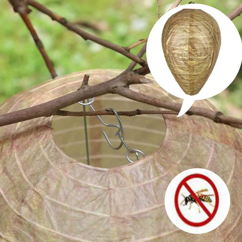 🔥Hot Sale 49% OFF🐝Natural Wasp Deterrent Hive