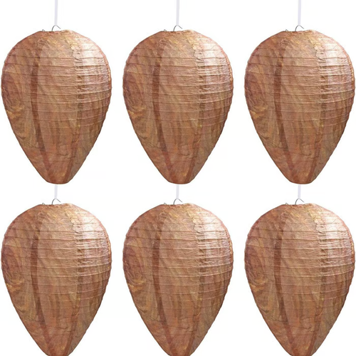 🔥Hot Sale 49% OFF🐝Natural Wasp Deterrent Hive