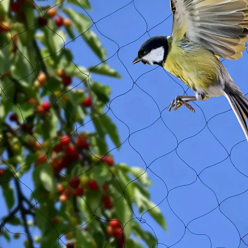Durable Black PE Garden Bird Netting for Fruit Trees and Strawberry Protection - Outdoor Orchard Barrier with Mesh Design, Garden Pest Control | Streamlined Appearance | Long-Lasting Material, Plant Protection Netting
