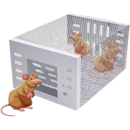 automatic continuous cycle mouse trap🔥🔥