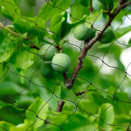 Durable Black PE Garden Bird Netting for Fruit Trees and Strawberry Protection - Outdoor Orchard Barrier with Mesh Design, Garden Pest Control | Streamlined Appearance | Long-Lasting Material, Plant Protection Netting