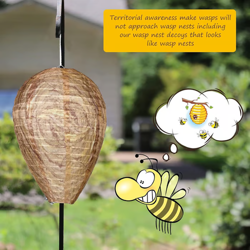 🔥Hot Sale 49% OFF🐝Natural Wasp Deterrent Hive