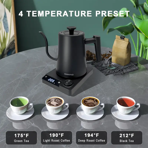 Smart Thermostatic Electric Kettle