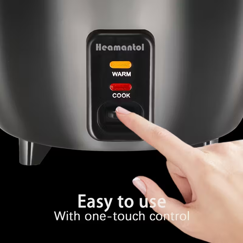 Rice Cooker with Multiple Functions
