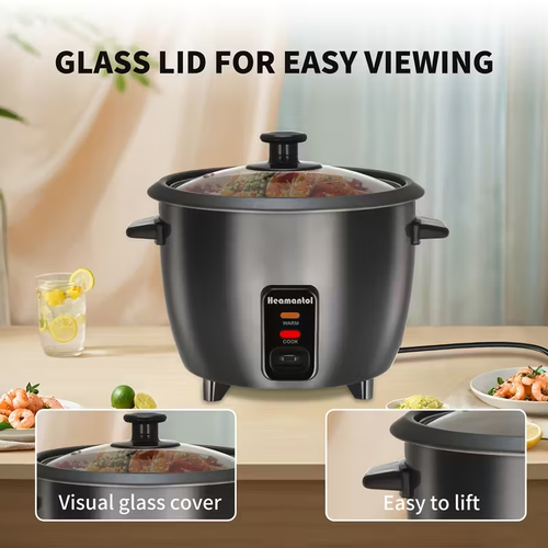 Rice Cooker with Multiple Functions