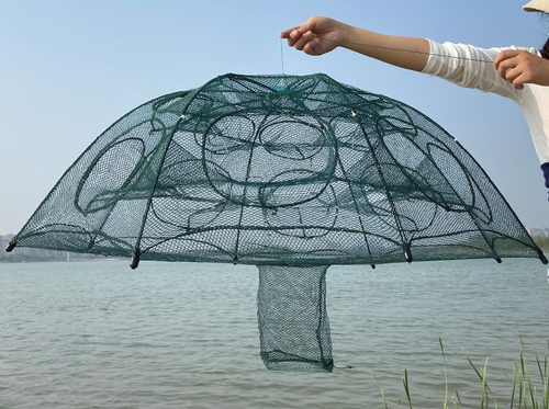 foldable fishing cage