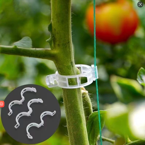 (100PCS 1SET)Wholesale Large Transparent Plastic Greenhouse for Tomato Graft Clip Green Inventory for Plant Agriculture Hydroponic Use