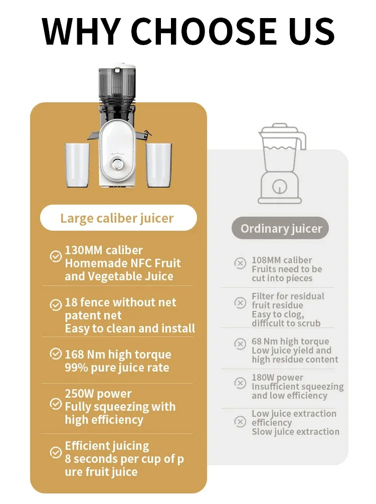 Slow Juicer with No-Mesh Filter - 50 RPM, 65dB & Easy Disassembly