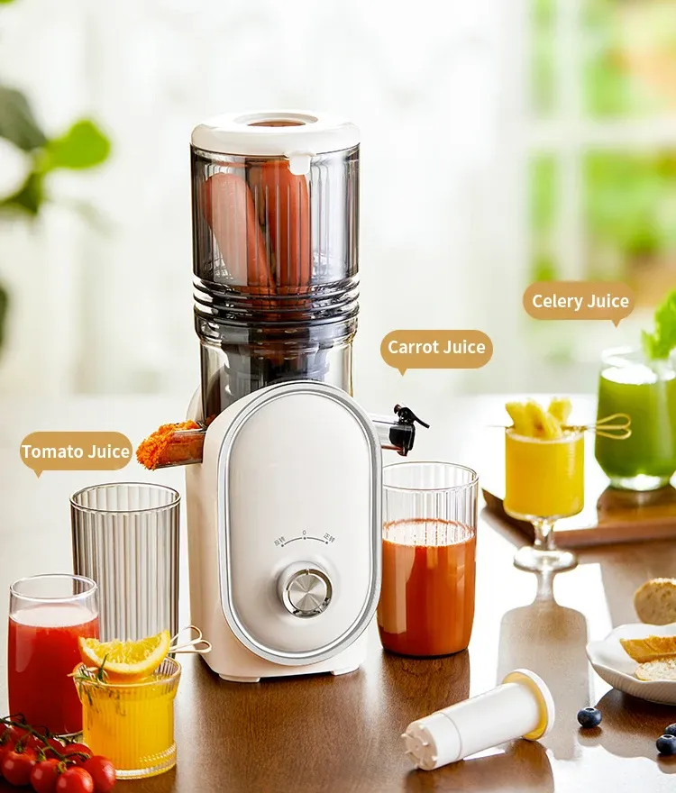 Slow Juicer with No-Mesh Filter - 50 RPM, 65dB & Easy Disassembly