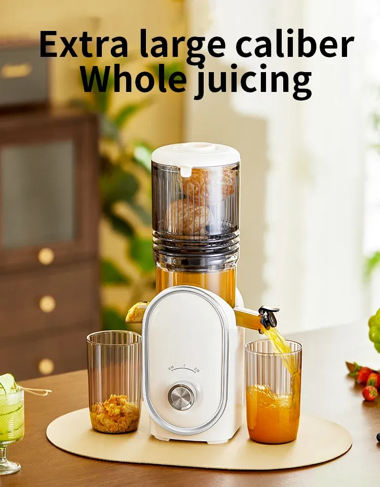 Slow Juicer with No-Mesh Filter - 50 RPM, 65dB & Easy Disassembly