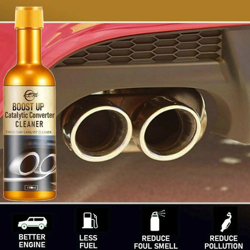 Catalytic Converter & Fuel System Cleaner
