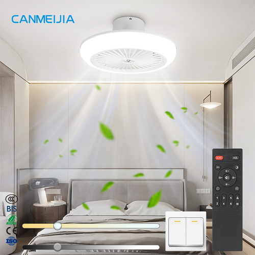 Indoor Ceiling Fan Light