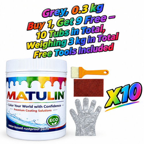 Water-based metal anti-rust paint rust converter