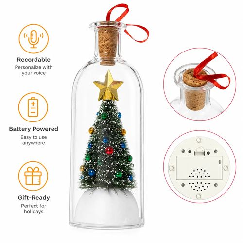 Christmas message in a bottle with voice recording