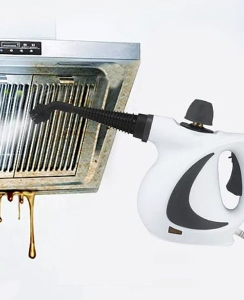 Steam Disinfection cleaner