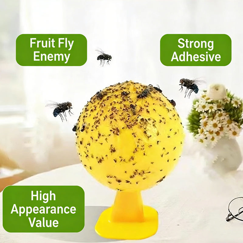 Ready to Ship Non-Toxic Disposable Sticky Fly Trap Ball with Stand for Kitchen Indoor Garbage Cans Instant Fruit Fly Catcher.Use (50-100 Sqm) Trap Flies Gnats Other Flying
