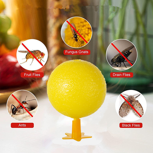 Ready to Ship Non-Toxic Disposable Sticky Fly Trap Ball with Stand for Kitchen Indoor Garbage Cans Instant Fruit Fly Catcher.Use (50-100 Sqm) Trap Flies Gnats Other Flying