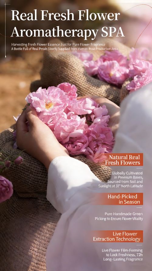 Rose Petal Shower Gel 500ML